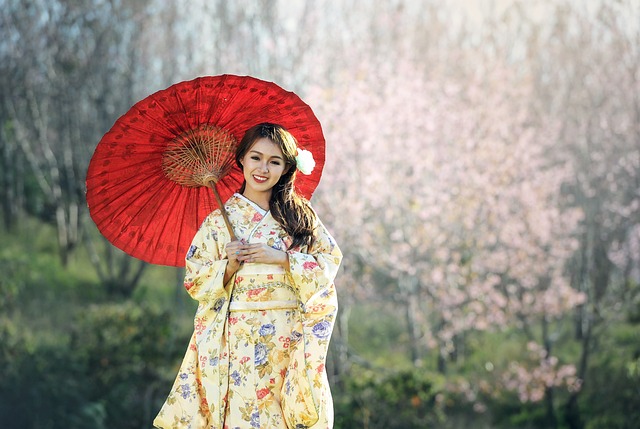 A Glimpse of Kyoto’s Geisha Culture